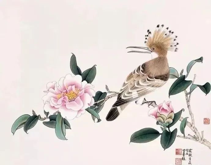 国画里的十大名花，花中娇容——茶花