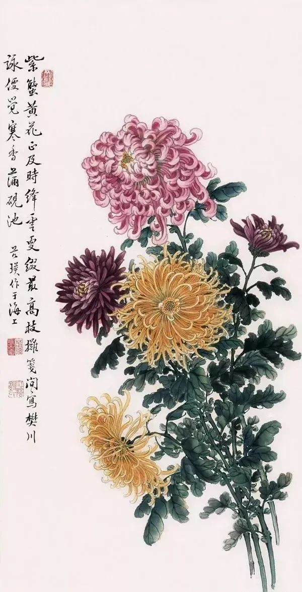 国画里的十大名花，冰霜绽放——菊花